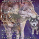 Ironspell Chronicles Characters -- Ulf and Callan